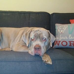 Meet your Posher, Natalie